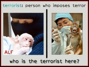 Defining Terrorism