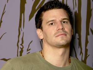 David Boreanaz David