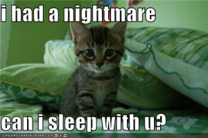 If my cat sounds upset in their sleep, are they having a nightmare?