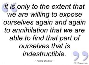 it is only to the extent that we are perma chodron