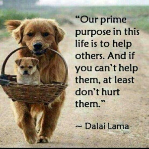 Quotes from Dalai Lama