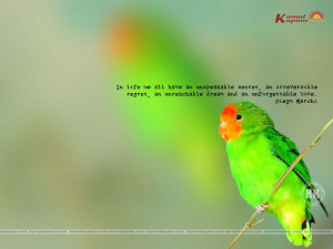 Fact-Quotation Wallpapers