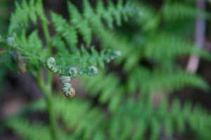 Half the fun of the travel is the aesthetic of lostness.”