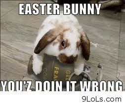 funny easter bunny funny pictures funny quotes funny videos 9lols com
