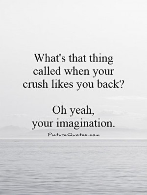 ... called when your crush likes you back? Oh yeah, your imagination