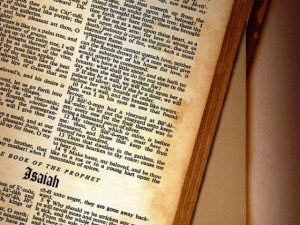 Crazy bible verses new testament wallpapers