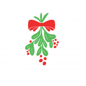 Christmas Mistletoe Quotes Christmas is coming, we've got