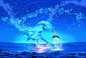 All Graphics » Dolphin's