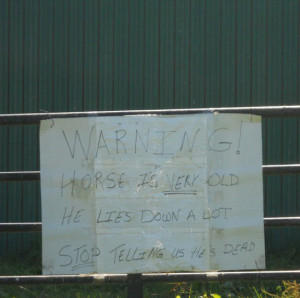 funny-sign-warning-horse-lies-down