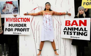 Covered in fake blood, Animal Liberation Victoria activist Jamie Yew ...