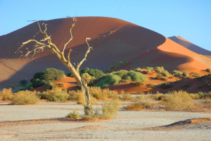namibia sand dunes namibia desert namibia sunset safari