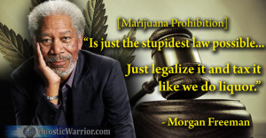Morgan Freeman on Marijuana Prohibition | GnosticWarrior.