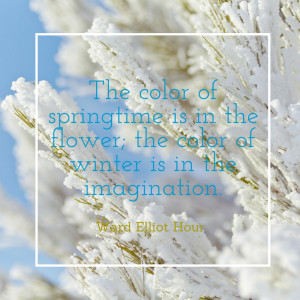 12 Cozy quotes in celebration of the winter solstice