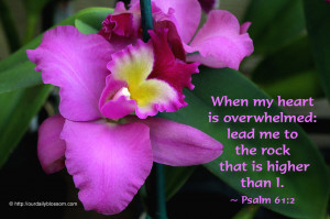 When my heart is overwhelmed: lead me to the rock that is higher than ...