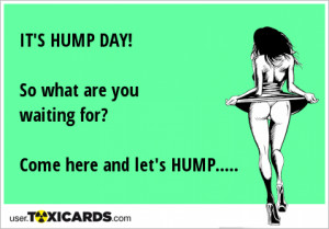 it-s-hump-day-so-what-are-you-waiting-for-come-here-and-let-s-hump-568 ...