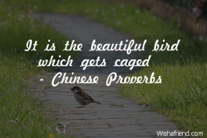 bird-It is the beautiful bird which gets caged