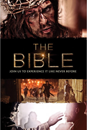THE BIBLE SERIES - CRITICS MISSING THE POINT
