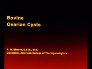 Metal Gear Solid Snake Quotes