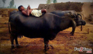 desi village funny picture desi village funny picture desi village ...