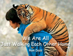 We Are All Just Walking each ohter Home ... Ram Dass