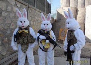 Des militaires déguisés en lapin pour Pâques , pour Noël ils ...