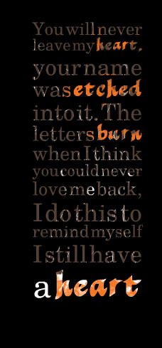 ... you could never love me back, i do this to remind myself i still have