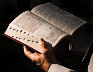 bible-study-man-holding-bible-2010.jpg