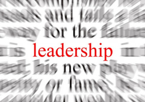 leadership quotes that provide insight and teach leadership skills