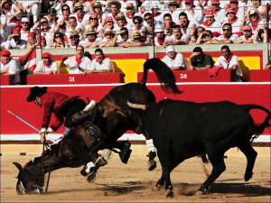 Bull Fighting In Spain