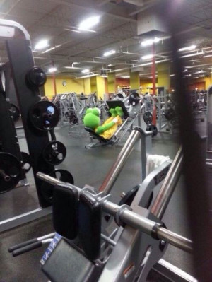 Kermit The Frog’s New Year Resolution Was To Get Big Enough For Miss ...