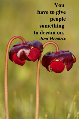 22 #Jimi #Hendrix #Quotes Which Show His Deep Personality