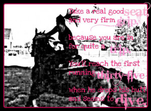 ... Fun Barrel Racing Pics/Poem at the Horse Chat forum - Horse Forums