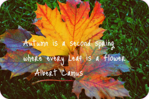 Funny Autumn Quotes