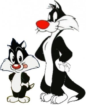 Sylvester The Cat Pictures