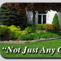 Crab Grass Control | Green Lawn Care | Alsip Illinois
