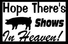 hog shows yay more pigs life heavens stockings stock show quotes pigs ...