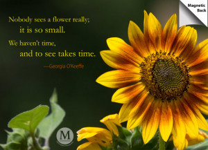 Sunflower Magnetic Image with inspirational quote
