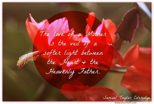 the love of a mother is the veil of a softer light between the heart