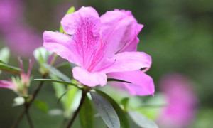 13 Life Quotes To Be Successful