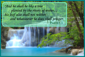 Incouraging Bible Verse - Tree planted by the rivers of water Psalm