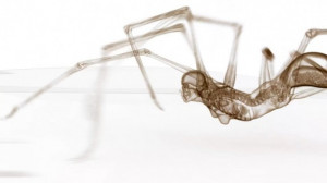 Funny Quotes Contact Us DMCA Notice