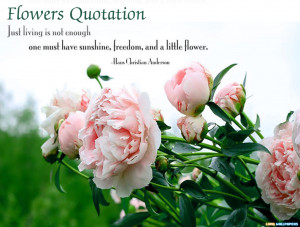 Search Results for: Images Of Beautiful Flowers With Quotes