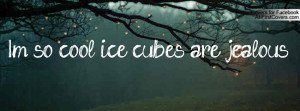 so cool ice cubes are jealous Profile Facebook Covers