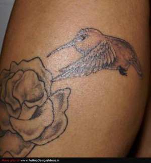 Funny Quotes Contact Us DMCA Notice