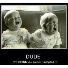 funny twin quotes | Twin Brother Trolling At Its Finest | Funny ...