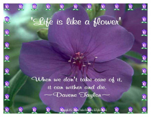 Flower Quotes HD Wallpaper 2