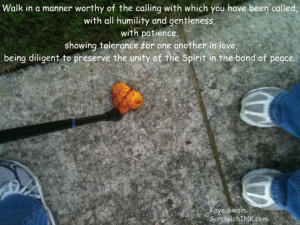 ... out walking - enjoying Autumn and seeing fun fall gardening projects