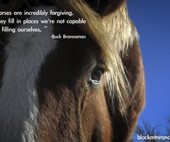 Horse Quotes And Cowgirl