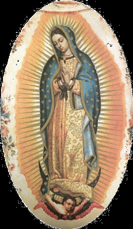 Angel Under The Virgin