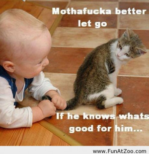 Funny baby and a cat